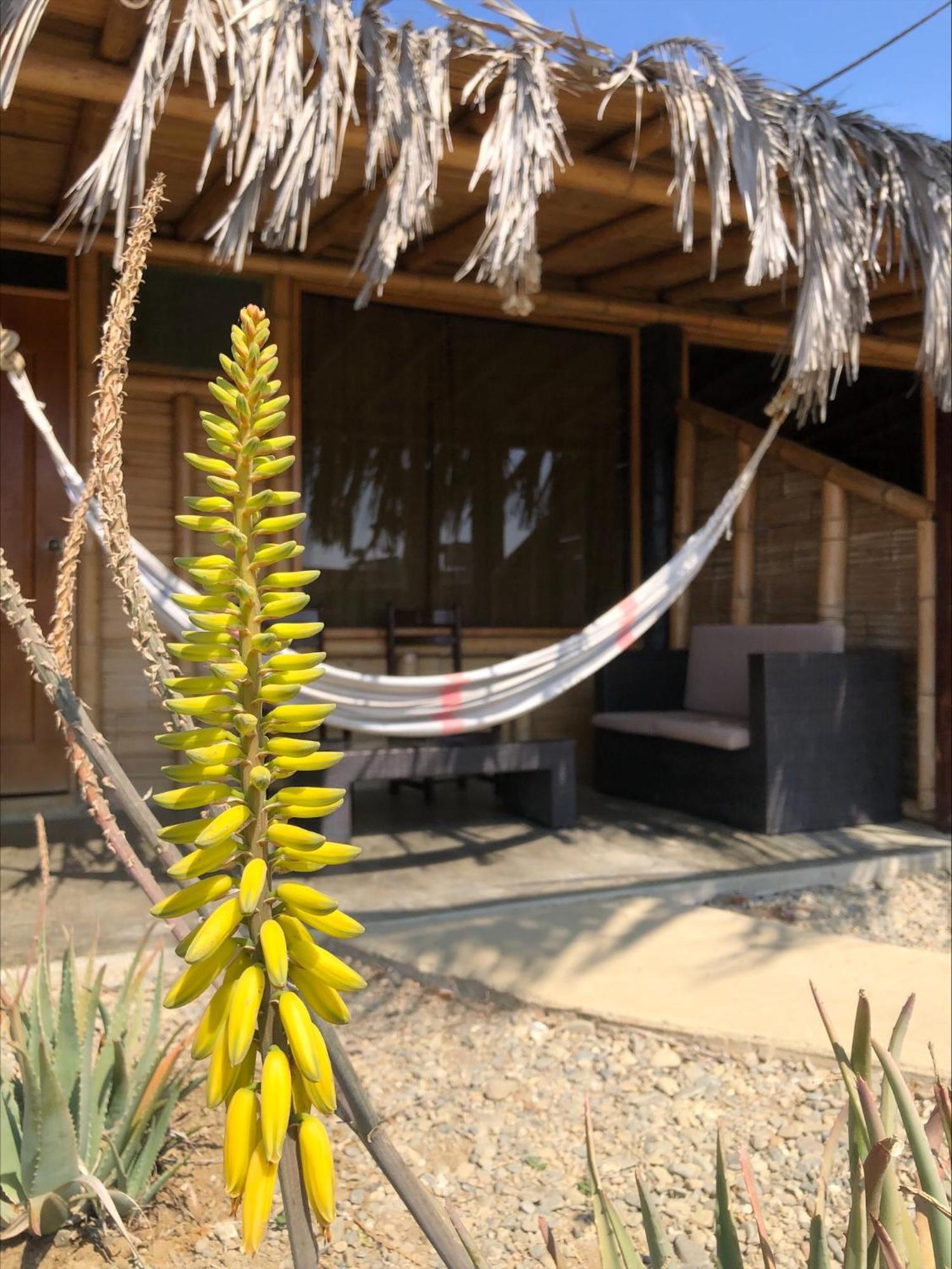 Wayra Hotell Lobitos Exteriör bild